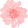 CxRg